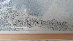 Stanislaw Lewkowicz - Bangkok rose kopen? Bied vanaf 175!