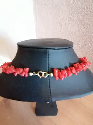 bloedkoraal hals ketting 50 cm kopen? Bied vanaf 100!