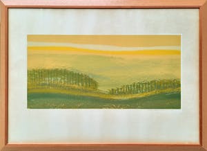 Fred Schimmel - Landschap - steendruk 18/65 - ingelijst - 21889 kopen? Bied vanaf 1!