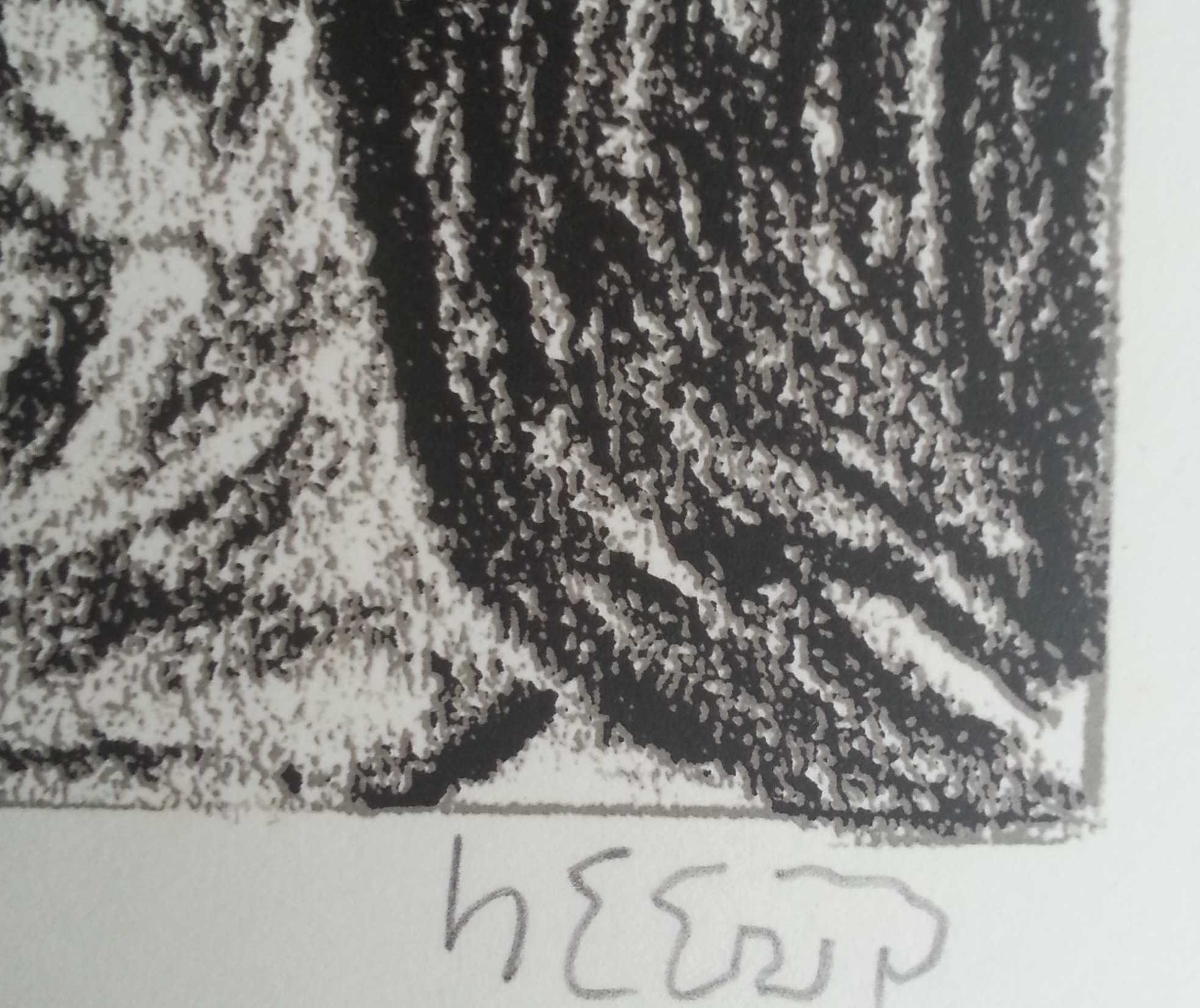 Henry Heerup - Het meisje en de eenhoorn kopen? Bied vanaf 69!