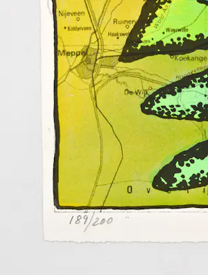 Corneille - Drenthe kopen? Bied vanaf 200!
