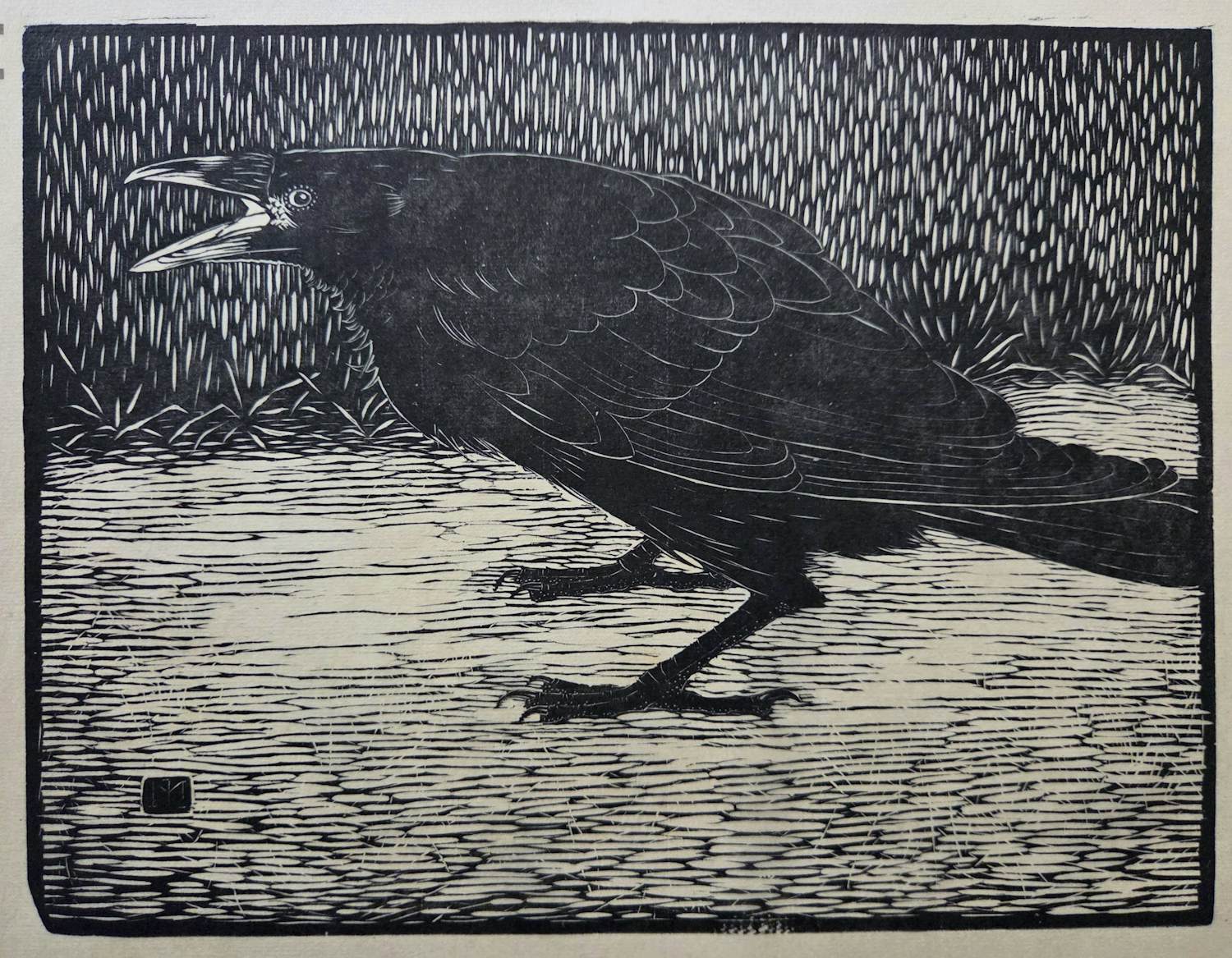 Jan Mankes - Schreeuwende kraai. Houtsnede uit Wendingen. kopen? Bied vanaf 225!