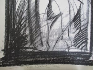 Nico Vrielink - genummerde en gesigneerde zeefdruk 36/100 kopen? Bied vanaf 20!