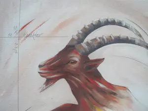 Sylvia Takken - Steenbok (Karakter, Slim, Statig) kopen? Bied vanaf 50!