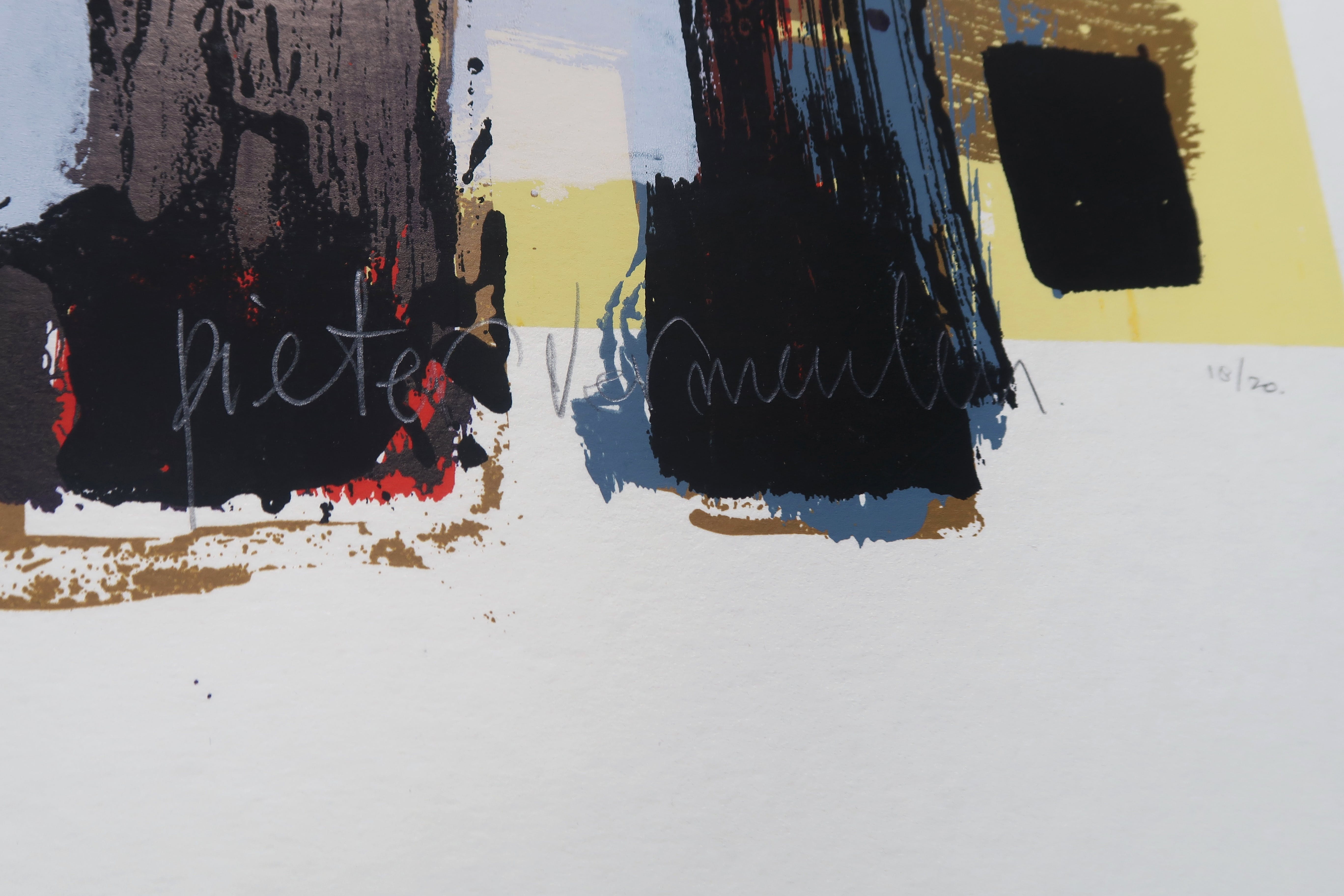 Pieter Vermeulen - Zeefdruk, Huisje kopen? Bied vanaf 1!