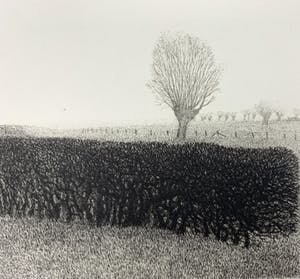 Charles Donker - ets - 'Meidoornhaag' - 1974 kopen? Bied vanaf 240!