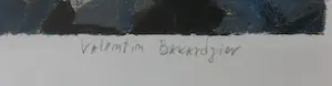 Valentin Bakardjiev - Zeefdruk, Early spring in Zeeland - Ingelijst kopen? Bied vanaf 1!