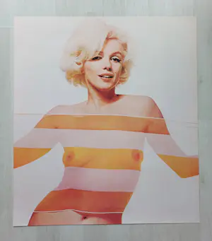 Bert Stern - "The last Sitting" - Poster kopen? Bied vanaf 90!