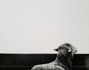 Rene Polak - Schaap, aquatint ets kopen? Bied vanaf 45!