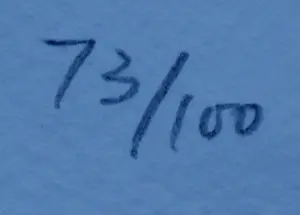 Death NYC - Zeefdruk: Snow White U.S.A bomb black - 2015 kopen? Bied vanaf 60!