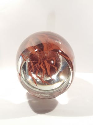 Niet of onleesbaar gesigneerd - 3D jellyfish Presse-papier Glow in the Dark kopen? Bied vanaf 1!