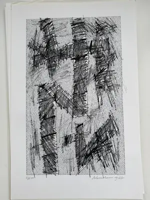 Jan Schoonhoven - Formatie 12 Zeefdrukken in Portfolio. Allen handgesigneerd (Zeldzaam). kopen? Bied vanaf 2950!