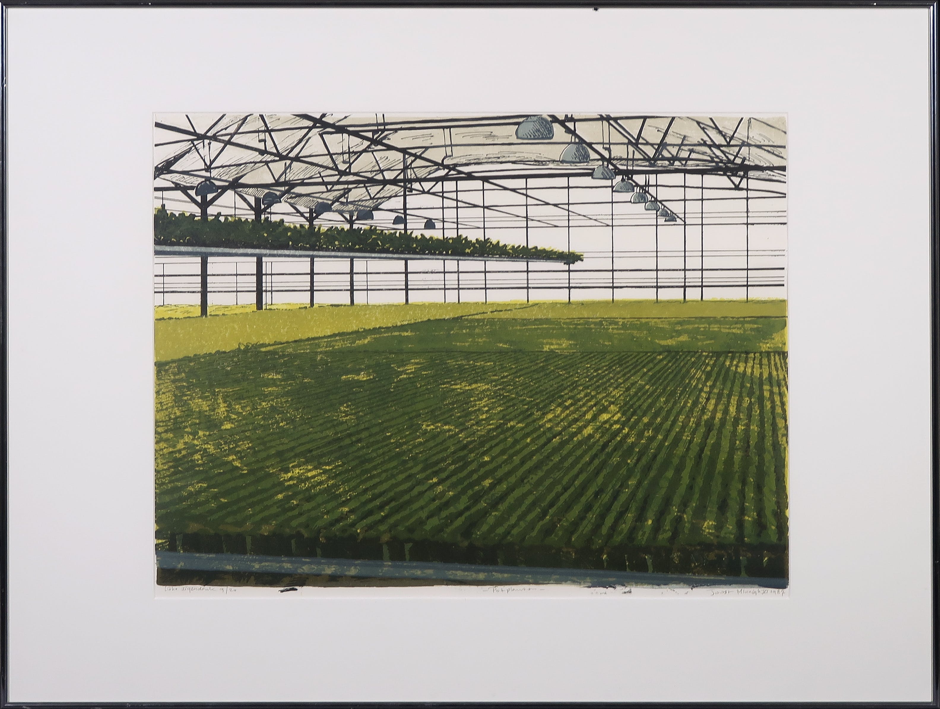 Joost Minnigh - Litho, Potplanten - Ingelijst verkocht voor € 40!