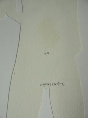 Vanessa Beecroft - Collage en acrylverf , Jonge vrouwen 1 – ingelijst, 94 x 134 cm - 1993 kopen? Bied vanaf 750!