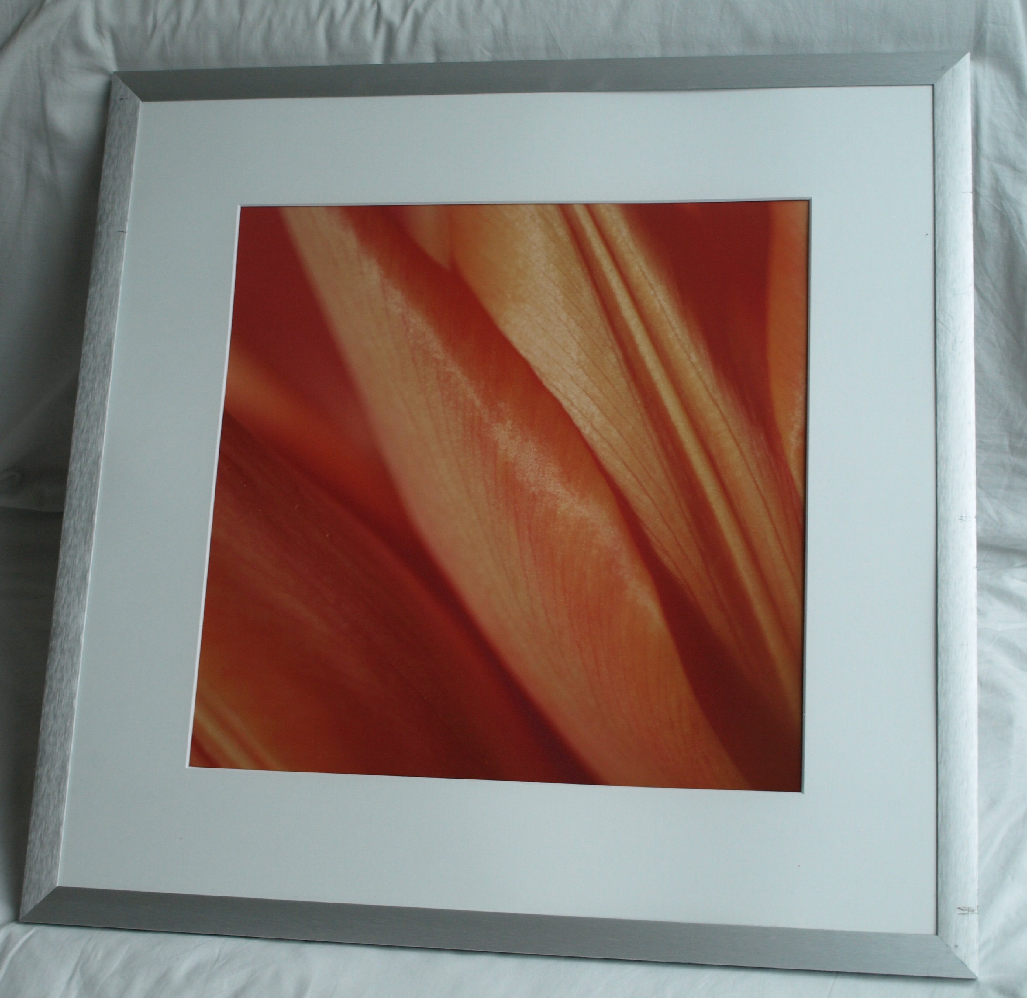 Niet of onleesbaar gesigneerd - Foto , Close-up – ingelijst  kopen? Bied vanaf 1!