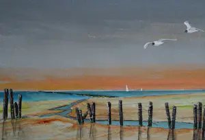 Franklin Meijer - Waddenkust Groningen kopen? Bied vanaf 79!