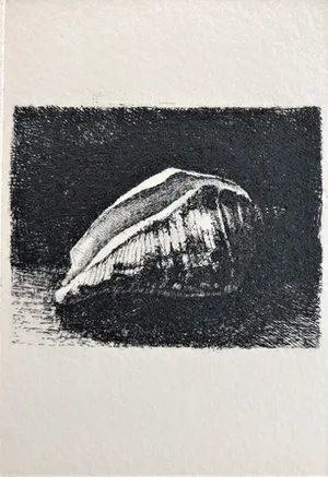 Simon Koene - Schelpje kopen? Bied vanaf 35!