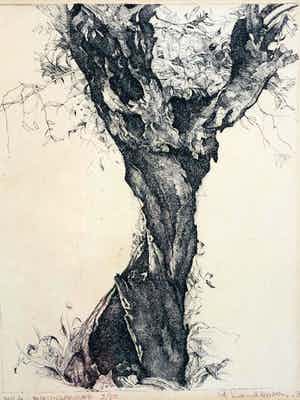 Piet Landkroon - wilg - burijngravure met lijst verkocht voor € 45!