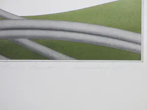 Marinus Fuit - Slangen in Landschap - Kleurenlitho kaufen? Bieten Sie von 38!