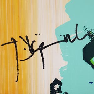 Jorg Doring - mixed media op doek handgesigneerd Picaso kopen? Bied vanaf 185!