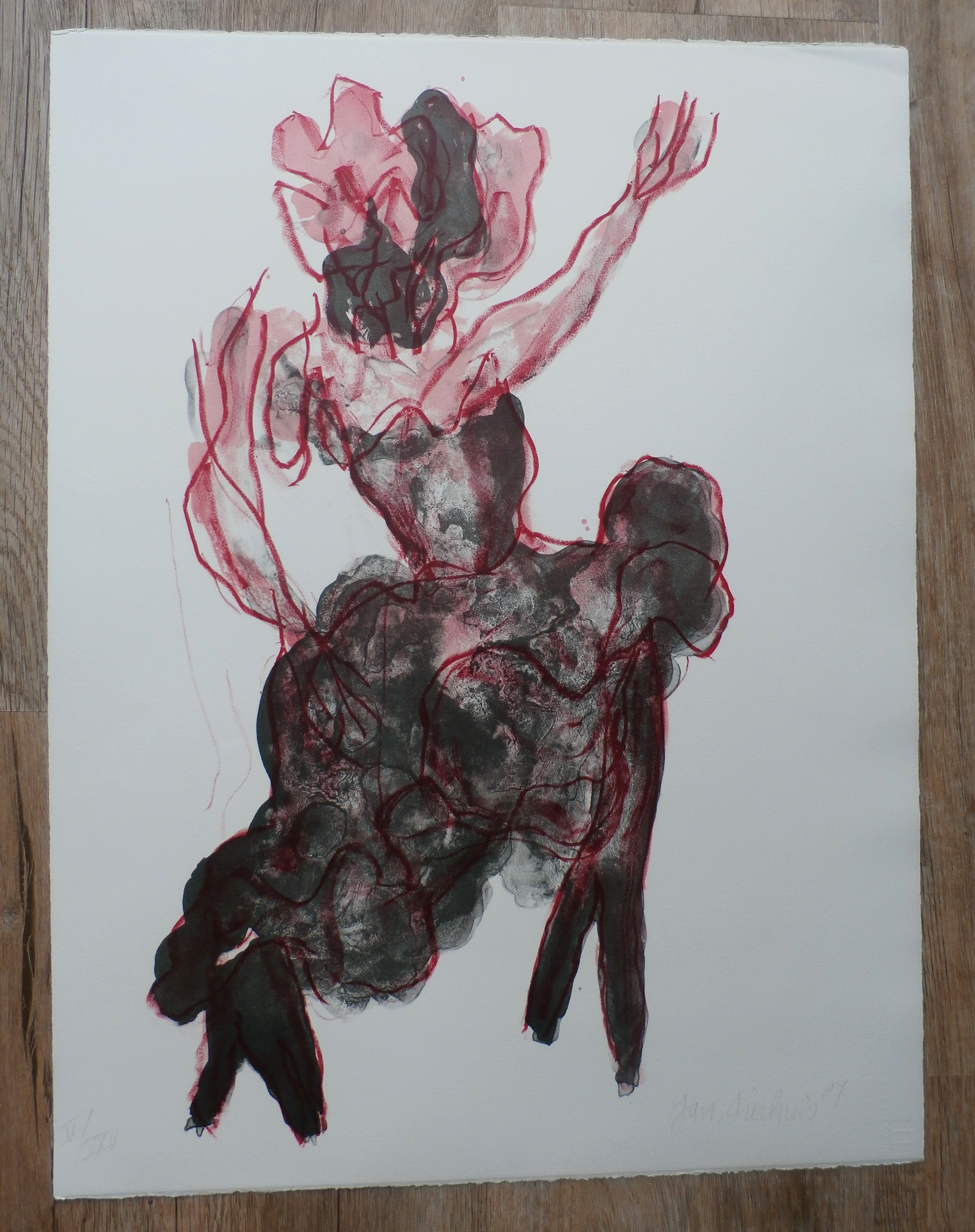 Jan Sierhuis - Litho: Flamengo - 1987 kopen? Bied vanaf 60!
