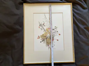 Mary McMurtrie - Botanische aquarel kopen? Bied vanaf 45!