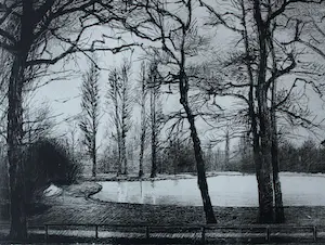 Aat Veldhoen - Rotaprint kopen? Bied vanaf 50!