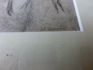 Wim Schuhmacher - Zelfportret met dode zwaluw kopen? Bied vanaf 50!