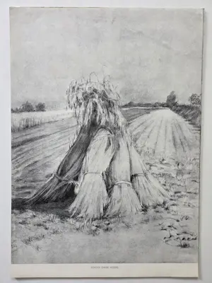 Wilhelmina van Oranje-Nassau - 12 prenten van schilderijen. 1935. kopen? Bied vanaf 69!