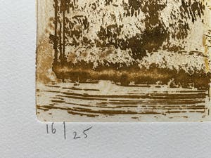 Jan Montyn - kleurenets - 'De nieuwe mens | Interior Cambodga' - 1994 (Kleine oplage) kopen? Bied vanaf 140!