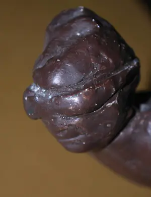 Auke Hettema - Elfstedenrijder Reinier Paping kopen? Bied vanaf 125!