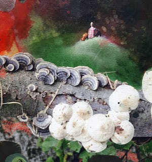 Robert Wevers - Helmholtz’ paradijs, acrylverf en inktjet op honingraat karton kopen? Bied vanaf 375!