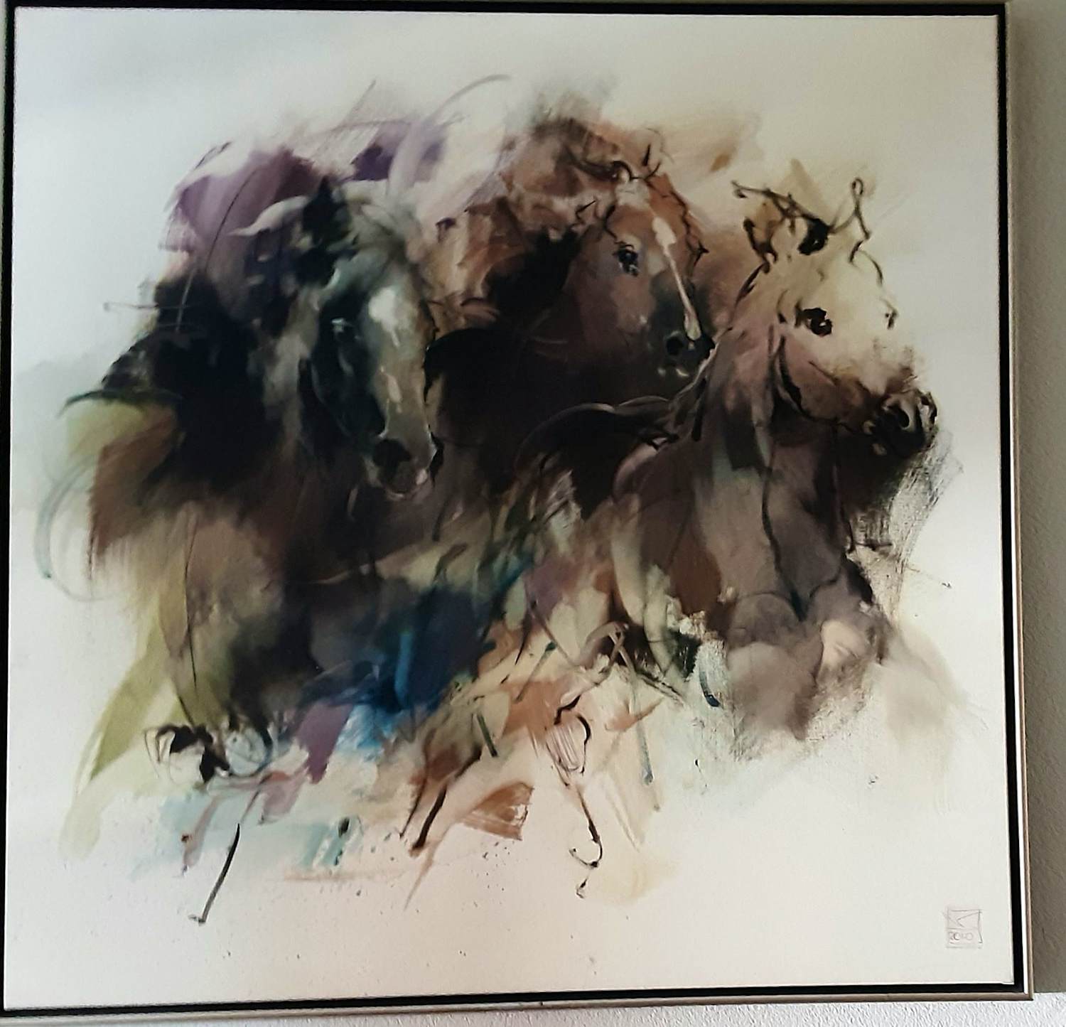 Marli Hommel - Paarden kopen? Bied vanaf 1250!