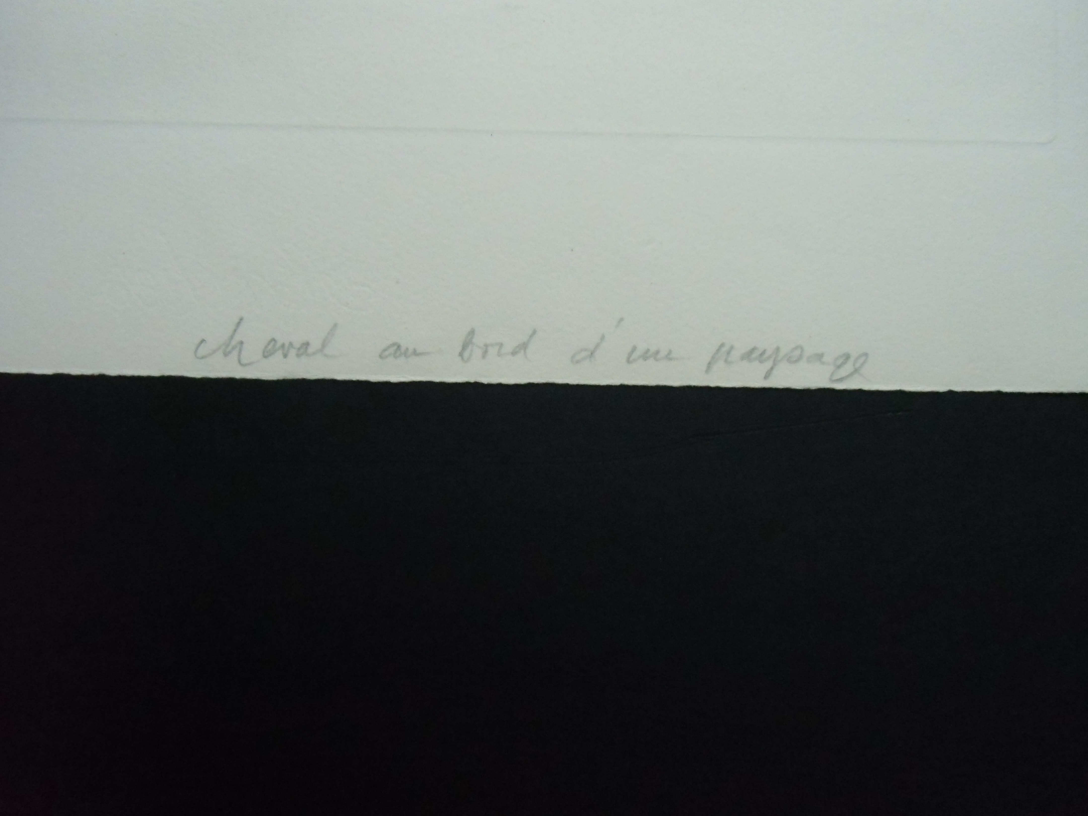 Brigitte Coudrain - CHEVAL AU BORD D'UN PAYSAGE / ETS VAN BRIGITTE COUDRAIN kopen? Bied vanaf 48!