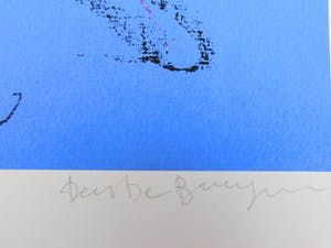 Dees De Bruyne - Femme Bleu avec collier rouge kopen? Bied vanaf 50!