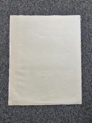 Wally Elenbaas - Mooie kleuren lithografie "bij de koffie" - zeer kleine oplage (5) - gesigneerd kopen? Bied vanaf 57!