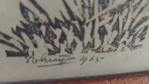 Dick van Luijn - Boomgaart kopen? Bied vanaf 50!