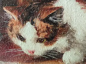 Niet of onleesbaar gesigneerd - Spelende katten kopen? Bied vanaf 10!