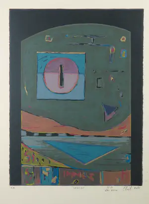 Eric Toebosch - Zeefdruk, Inzicht - Ingelijst (Groot) kopen? Bied vanaf 50!