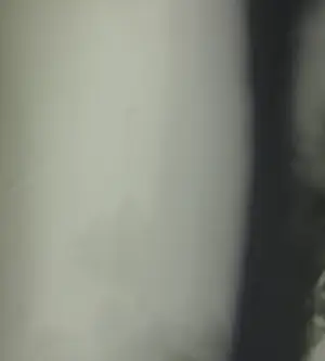 Hans van Ommeren - Fotografie op dibond, Bomen en licht kopen? Bied vanaf 50!