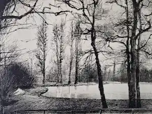 Aat Veldhoen - Mooie monochrome rota print - landschap - potloodgesigneerd - 1963 verkauft für € 50!