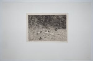 Philip Zilcken - Gesigneerde ets naar Willem Maris / Eendjes kopen? Bied vanaf 45!