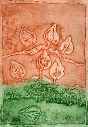 Jan Montyn - kleurenets - zonder titel - 2000 (Eerste afdruk van een editie van 50 ex.) verkocht voor € 100!