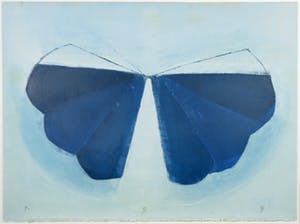 Aafke Kelly - Olieverf op papier, Dancing Wings - Ingelijst (Groot) kopen? Bied vanaf 40!