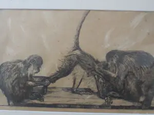 Dirk Homberg - 2x Langoeren Java en Oud Batavia kopen? Bied vanaf 250!