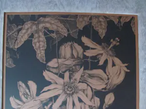 Anton Pieck - Passiebloemen kopen? Bied vanaf 75!