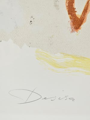 Bert Braam - Desira kopen? Bied vanaf 50!