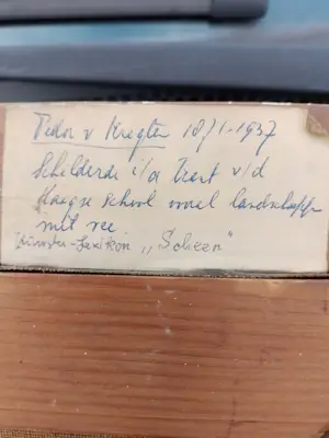 Fedor van Kregten - Paard voor verlichte stal kopen? Bied vanaf 100!