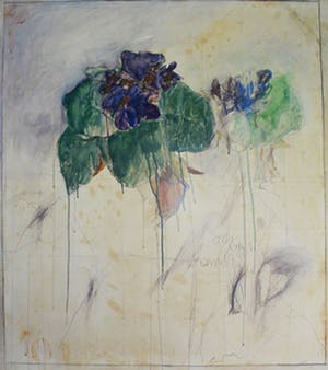 Bruno Bruni - Fiore kopen? Bied vanaf 60!