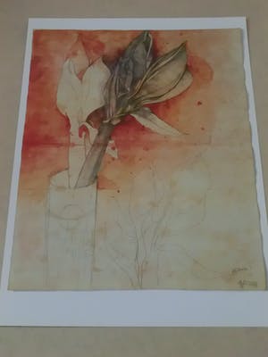 Bruno Bruni - AMARYLLIS Handgesigneerde kleurenlitho, vanaf € 1. kopen? Bied vanaf 1!